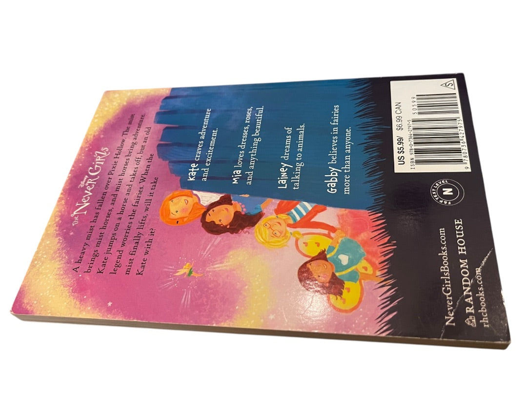 Set of 4 Disney The Never Girls 1-4 Kiki Thorpe Jana Christy Paperback Books