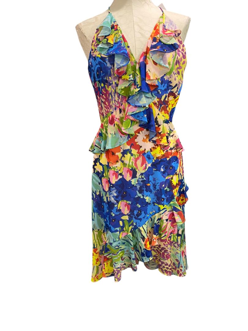 Size 6 Badgley Mischka Belle New Faith Dress Royal Multicolor Floral MSRP $199