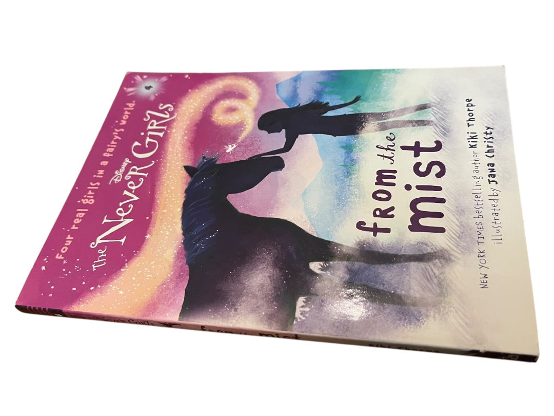 Set of 4 Disney The Never Girls 1-4 Kiki Thorpe Jana Christy Paperback Books