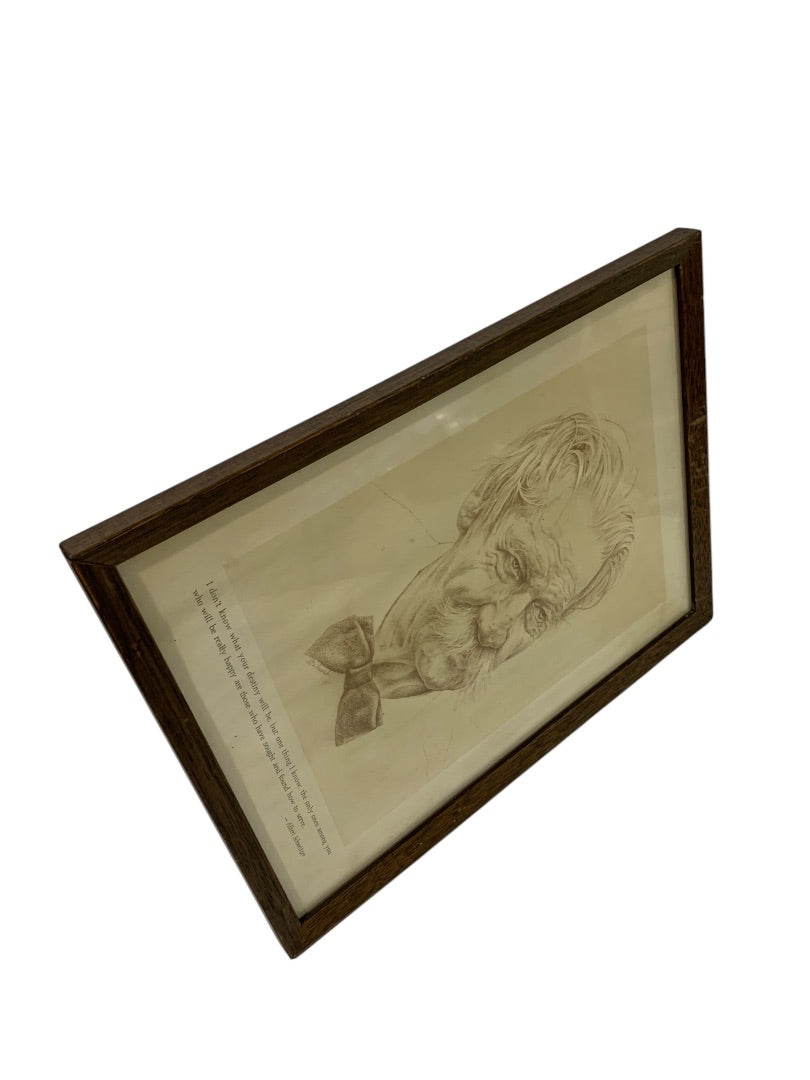 Vintage Albert Schweitzer Framed Print Destiny Quote 12.75" x 9.75"
