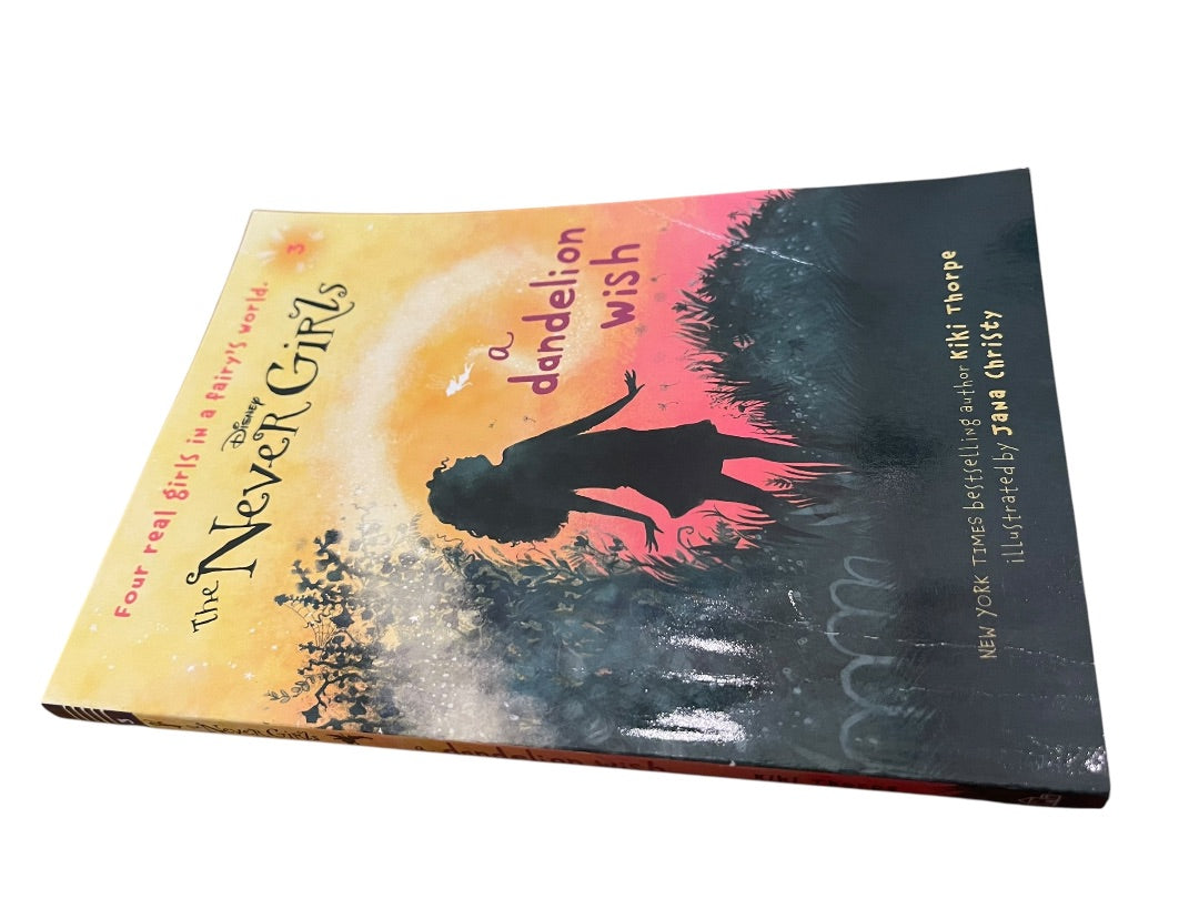 Set of 4 Disney The Never Girls 1-4 Kiki Thorpe Jana Christy Paperback Books