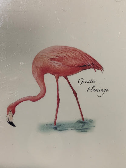 Set of 8 Notecards and Envelopes Greater Flamingo New