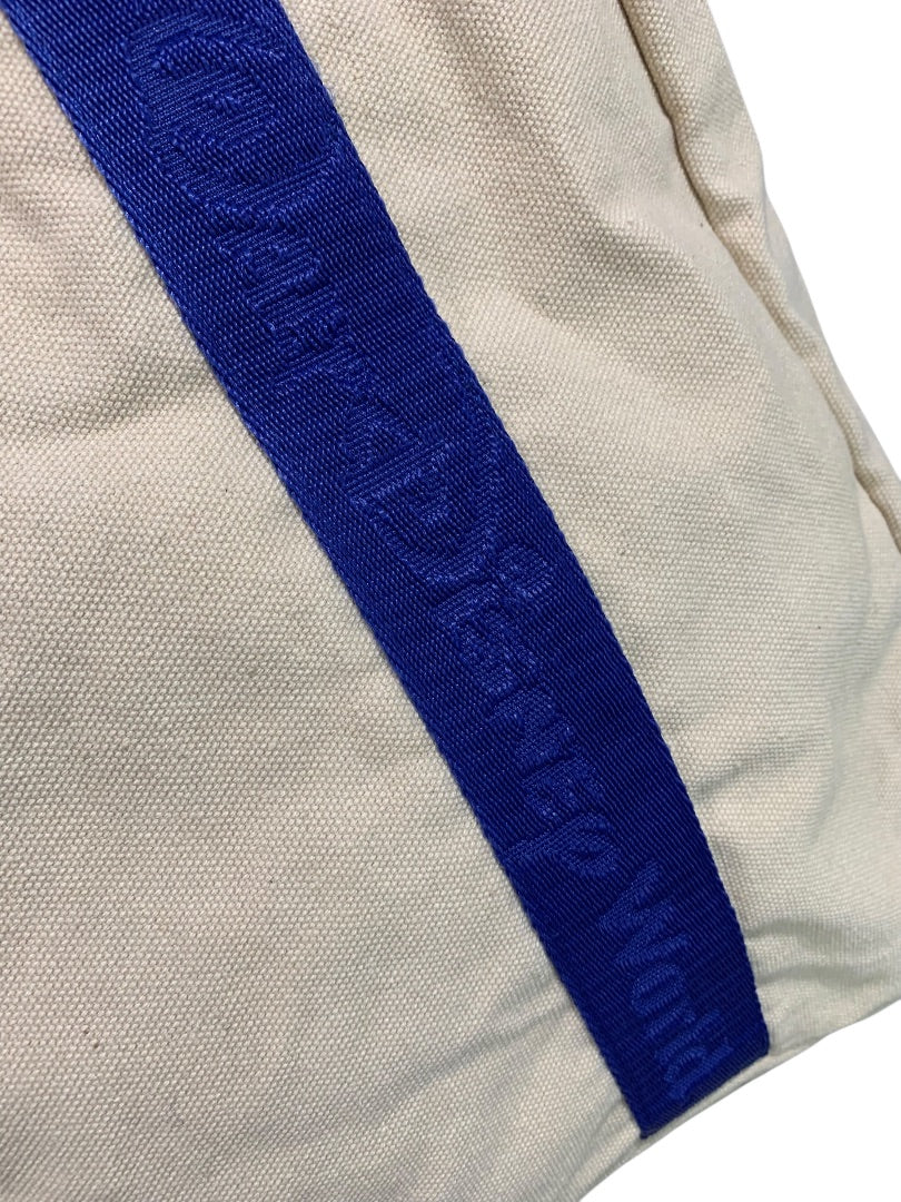 Walt Disney World Canvas Tote Blue Straps Pockets Magnetic Snap