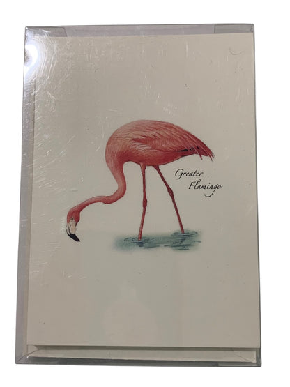 Set of 8 Notecards and Envelopes Greater Flamingo New