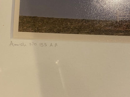 Signed Bill Coleman Matted Framed Amish Country Photo #155