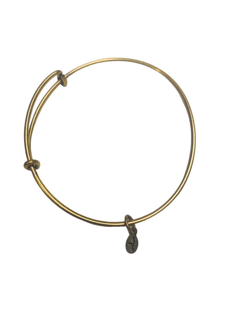 Alex and Ani Goldtone Expandable Bangle Bracelet Smooth