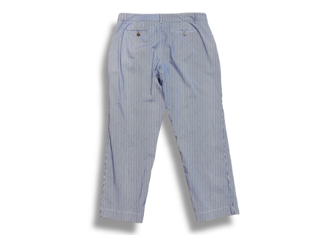 Size 14P Talbots Petite Womens Pinstripe Summer Chino Pants Blue White