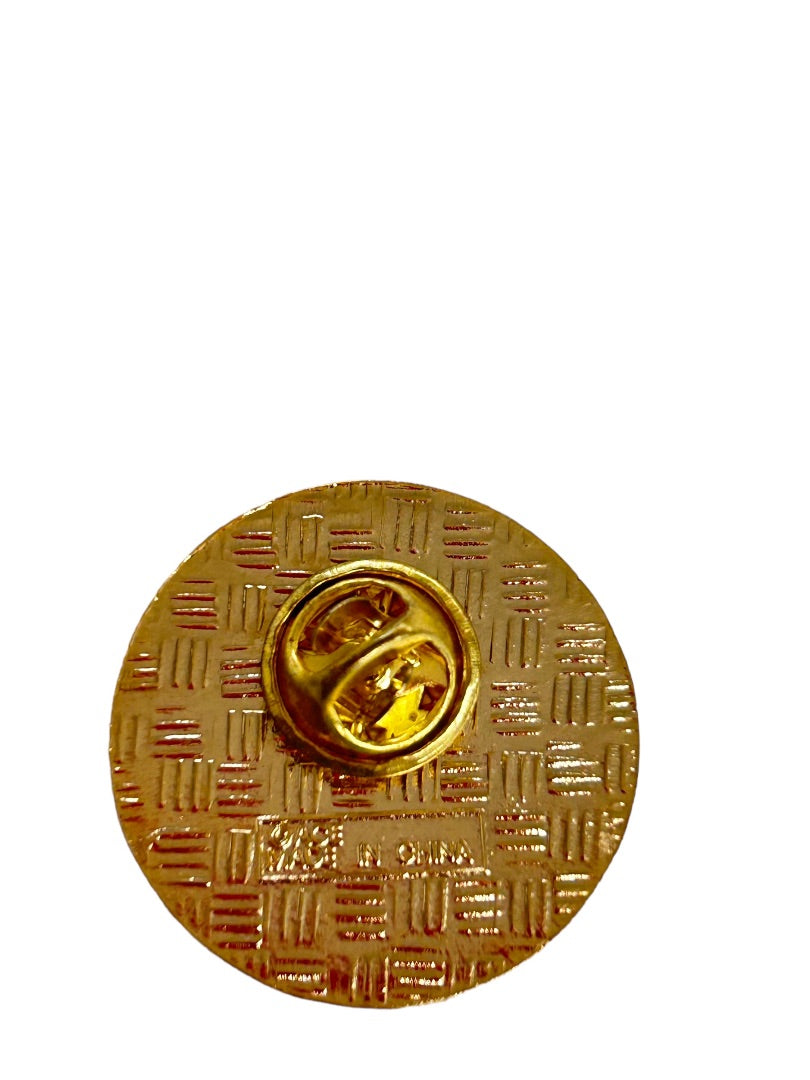 Souvenir Lapel Pin Denali National Park Alaska Resin 1" Diameter