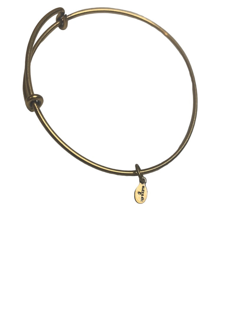 Alex and Ani Goldtone Expandable Bangle Bracelet Smooth