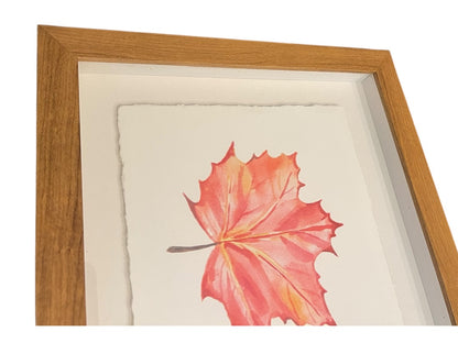 Fall Leaves Green Yellow Red Orange Wall Framed Wall Hanging Art