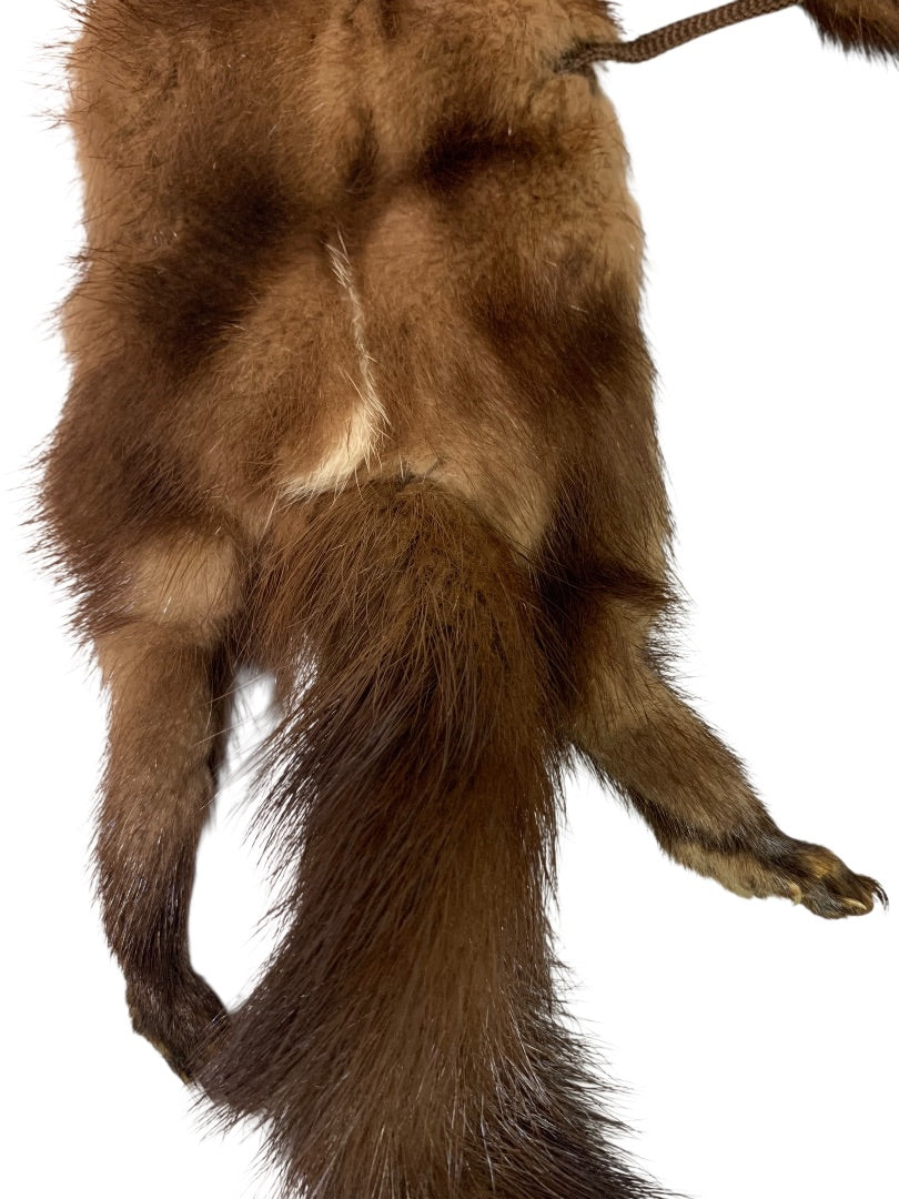 1950s Head to Tail Brown Mink Fur Scarf Vintage 54 Inch