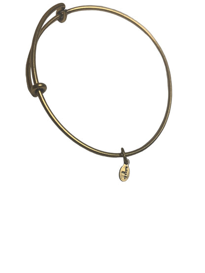 Alex and Ani Goldtone Expandable Bangle Bracelet Smooth