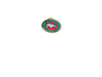 Unico Internationl Lapel Pin .7 Inch Oval Red Green