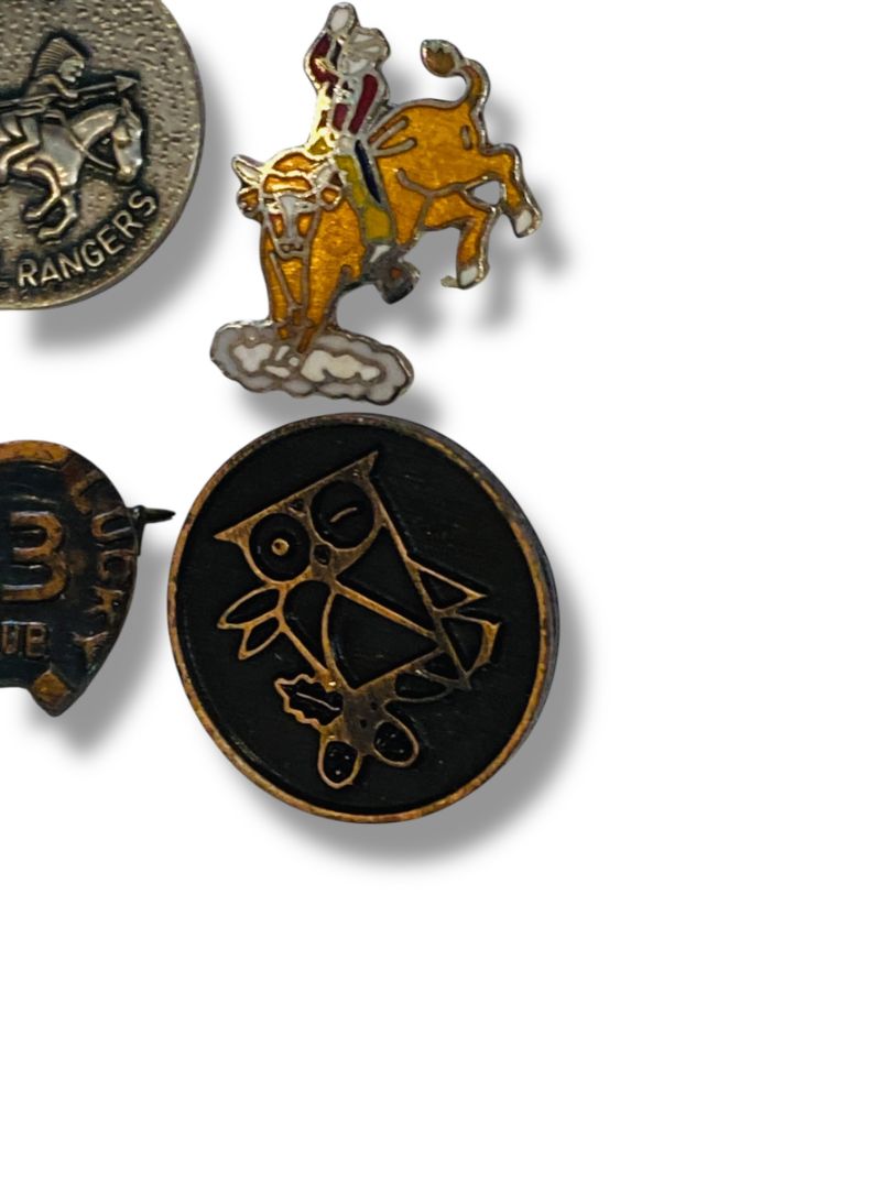 Lot of 5 Vintage Lapel Pins Rodeo Royal Rangers Owl Horseshoe
