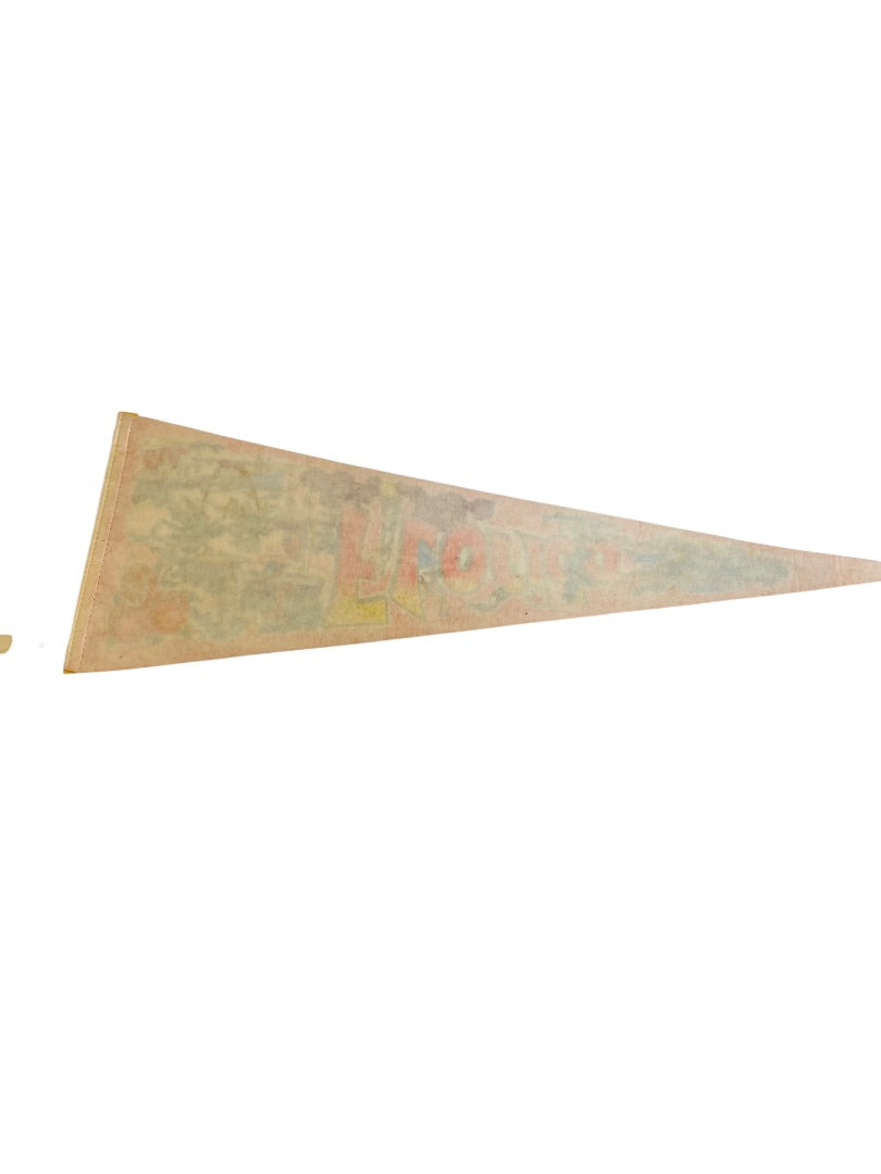 Vintage 26.5 Inch Kitschy Florida Pennant Souvenir Felt Flag USA Made