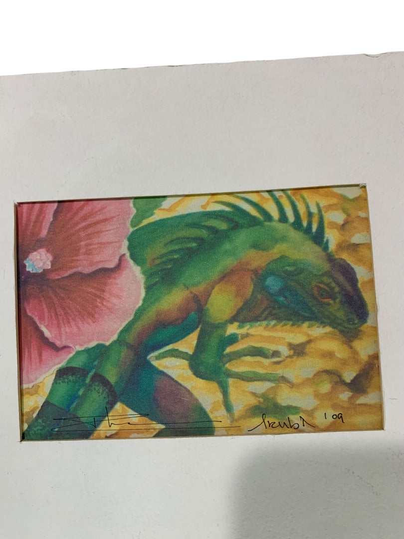 Aruba Print Rhona P. Lemminga 2009 Signed Iguana Flower 3.5" x 5"
