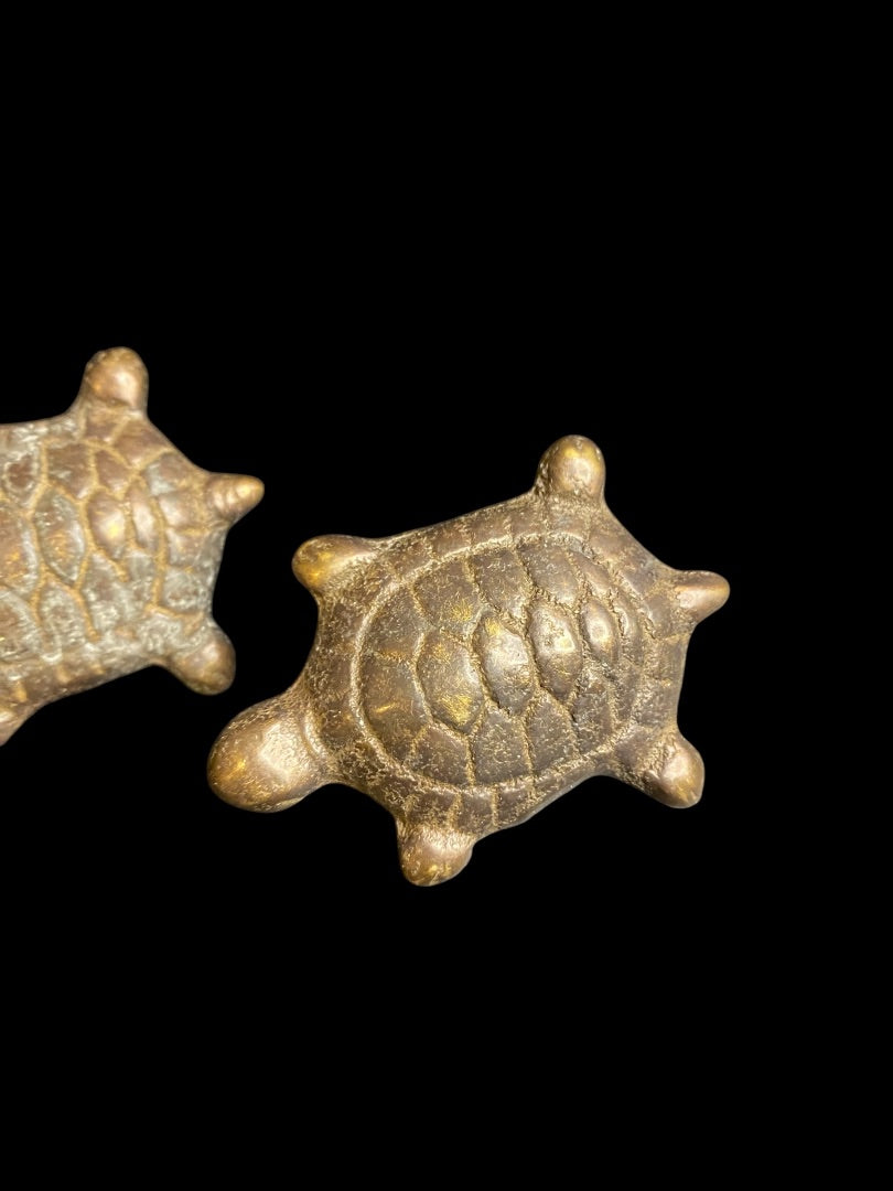Set of 2 Brass Turtle Drawer Pull Knobs 62mm 2.4"