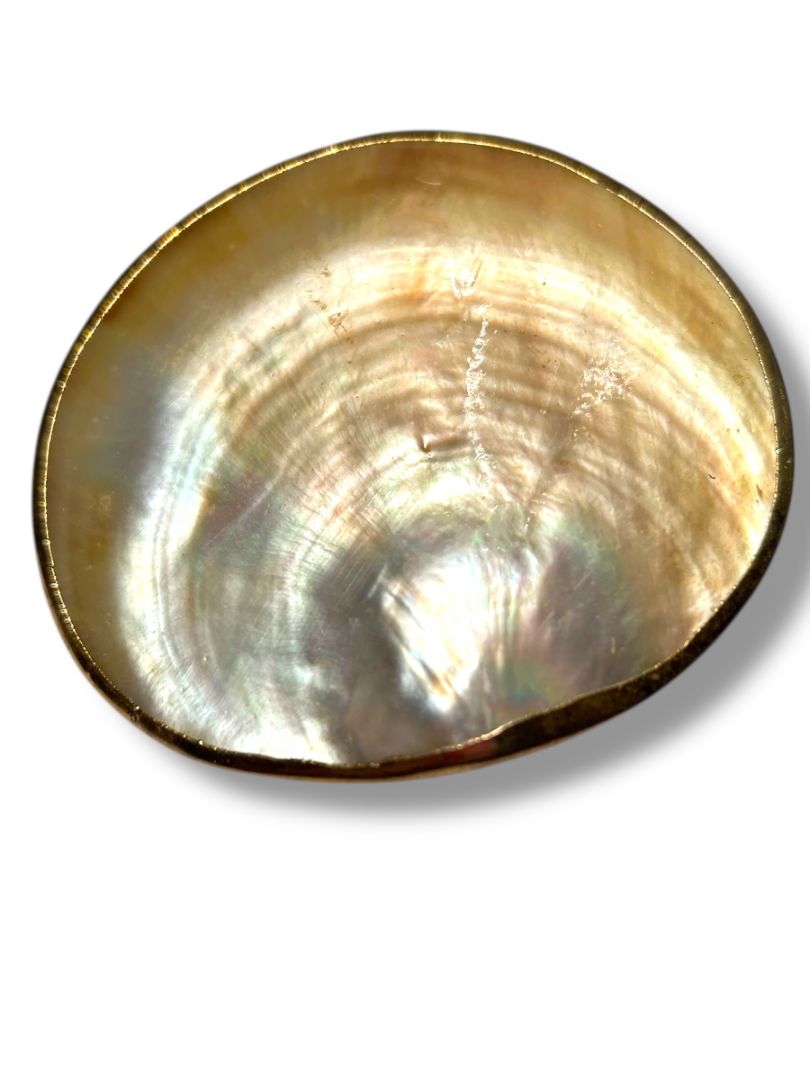 Vintage Shell Mother of Pearl Belt Buckle Goldtone Trim 2.75"