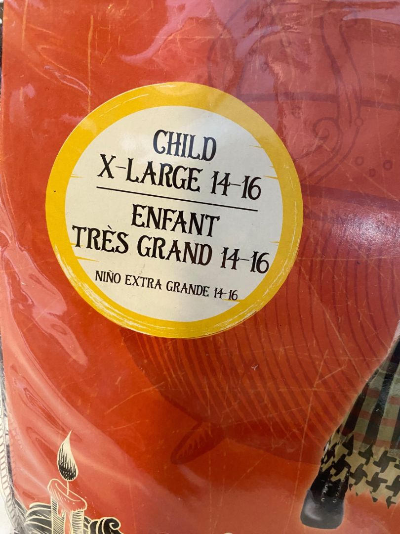 Size XL (14/16) Disney Hocus Pocus Costume Girls Mary Sanderson #356