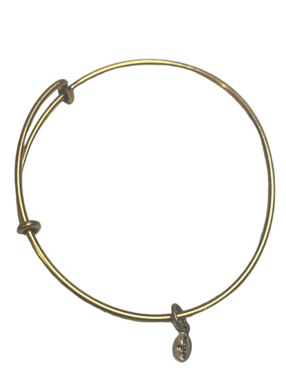 Alex and Ani Goldtone Expandable Bangle Bracelet Smooth