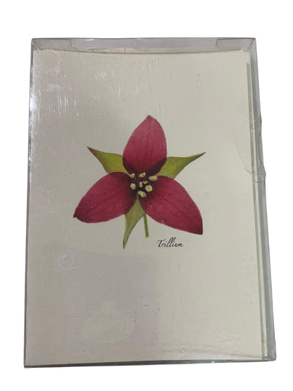 Set of 8 Notecards and Envelopes Wildflower Assortment II New