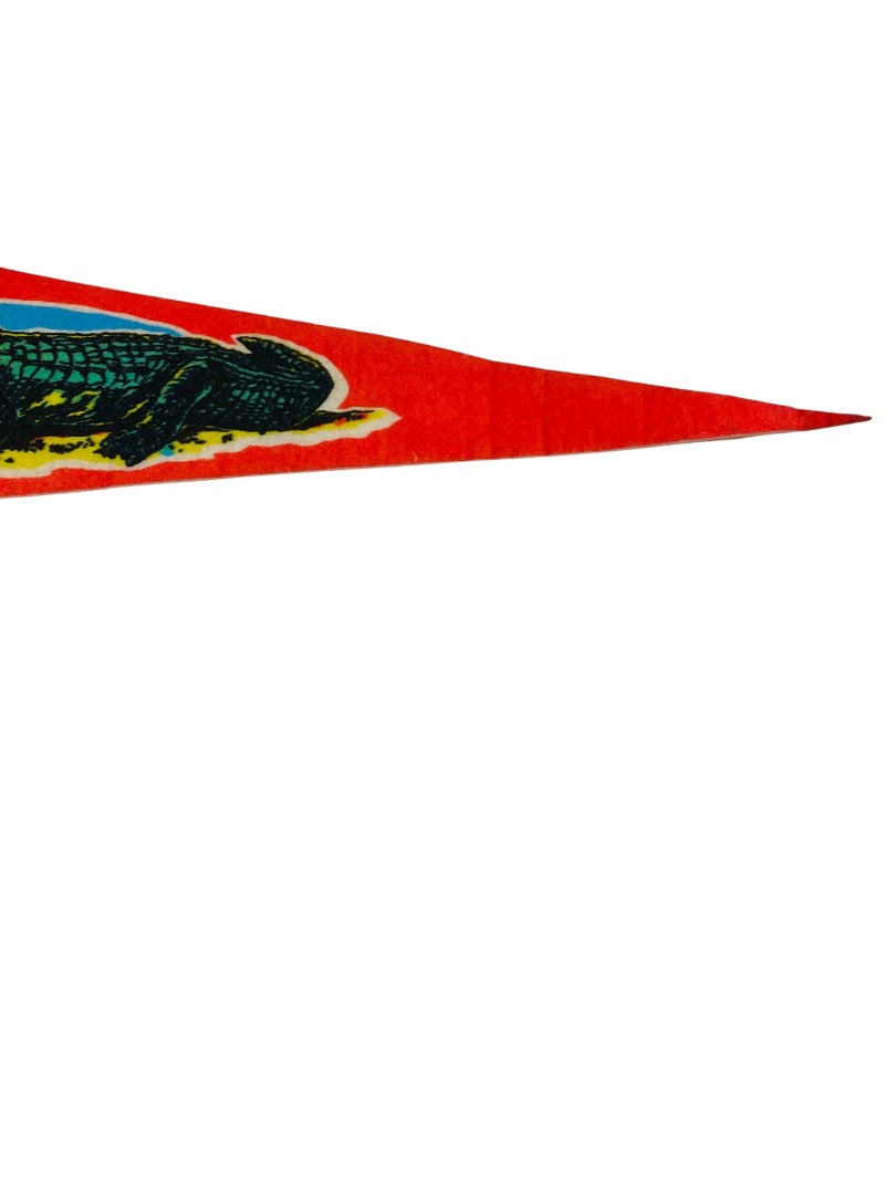 Vintage 26.5 Inch Kitschy Florida Pennant Souvenir Felt Flag USA Made