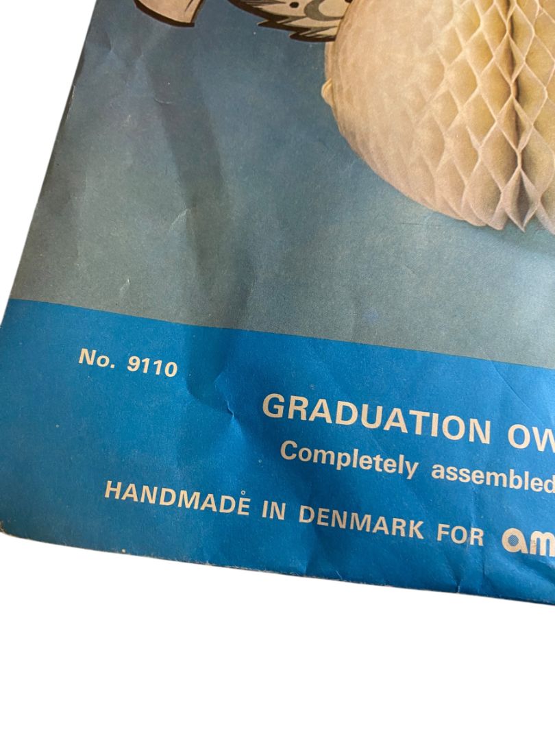 Vintage Amscan Graduation Owl Centerpiece 9" Honeycomb 9110