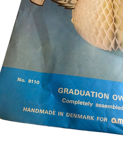 Vintage Amscan Graduation Owl Centerpiece 9" Honeycomb 9110