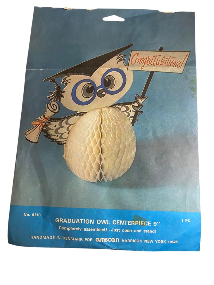 Vintage Amscan Graduation Owl Centerpiece 9" Honeycomb 9110