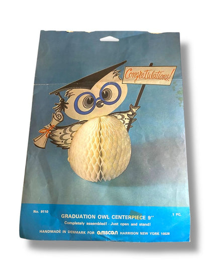 Vintage Amscan Graduation Owl Centerpiece 9" Honeycomb 9110