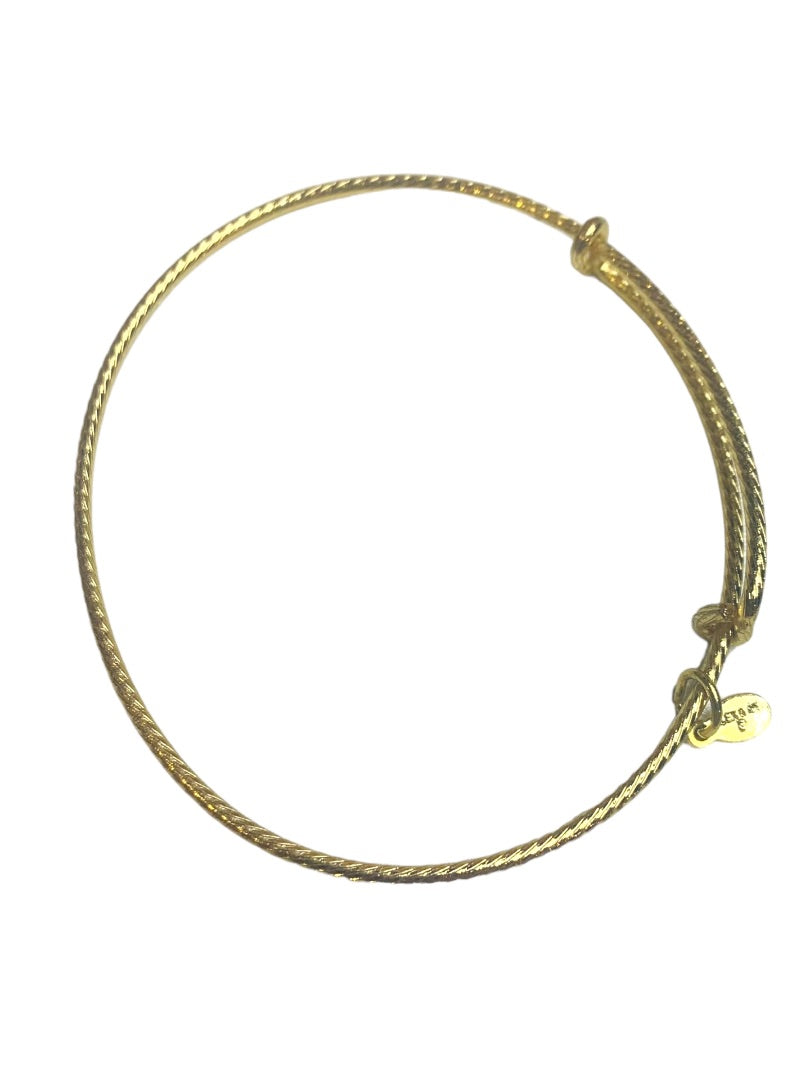 Alex and Ani Goldtone Expandable Bangle Bracelet Twist Design