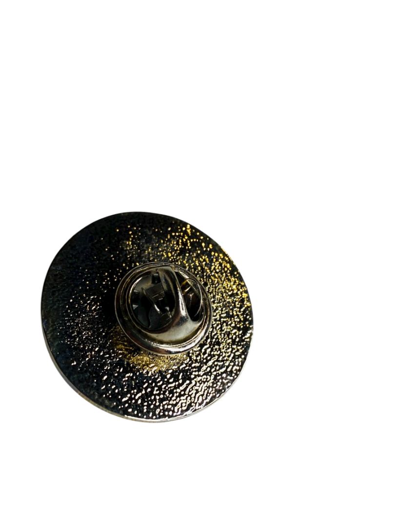 Vintage Cactus Chapter 2 Unit 2 Disabled Veterans Lapel Pin 1" Silvertone