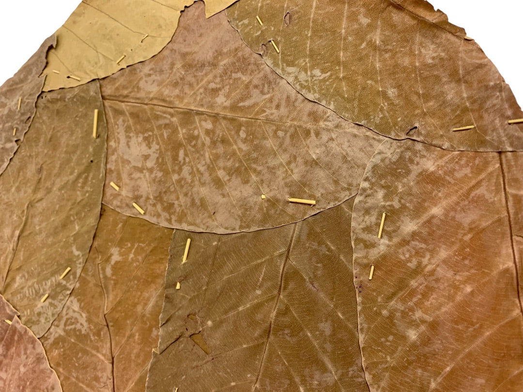 Set of 10 Leafline Platters or Placemats Disposable Natural Leaf Dinnerware