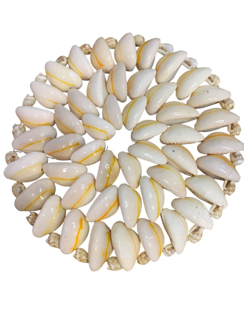Set of 5 Seashell Coaster Trivets Cowrie Shell 4.25" Beach Home