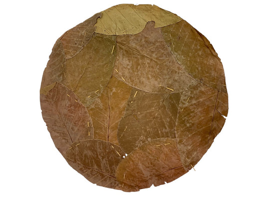 Set of 10 Leafline Platters or Placemats Disposable Natural Leaf Dinnerware