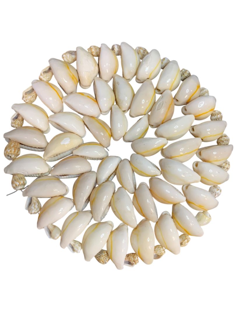 Set of 5 Seashell Coaster Trivets Cowrie Shell 4.25" Beach Home