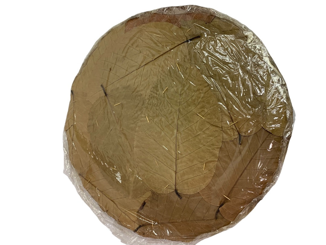 Set of 10 Leafline Platters or Placemats Disposable Natural Leaf Dinnerware