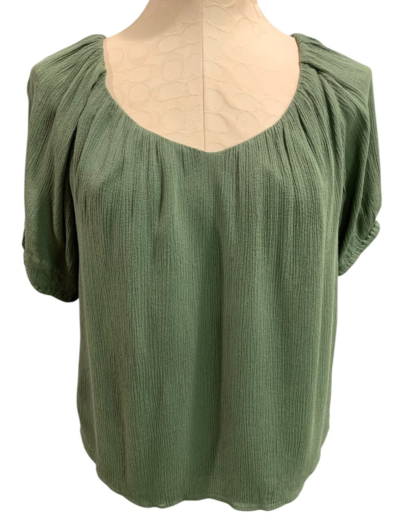 XSP Loft Petites Womens Green Scoop Neck Pullover Lined Short Sleeve Shirt Blouse