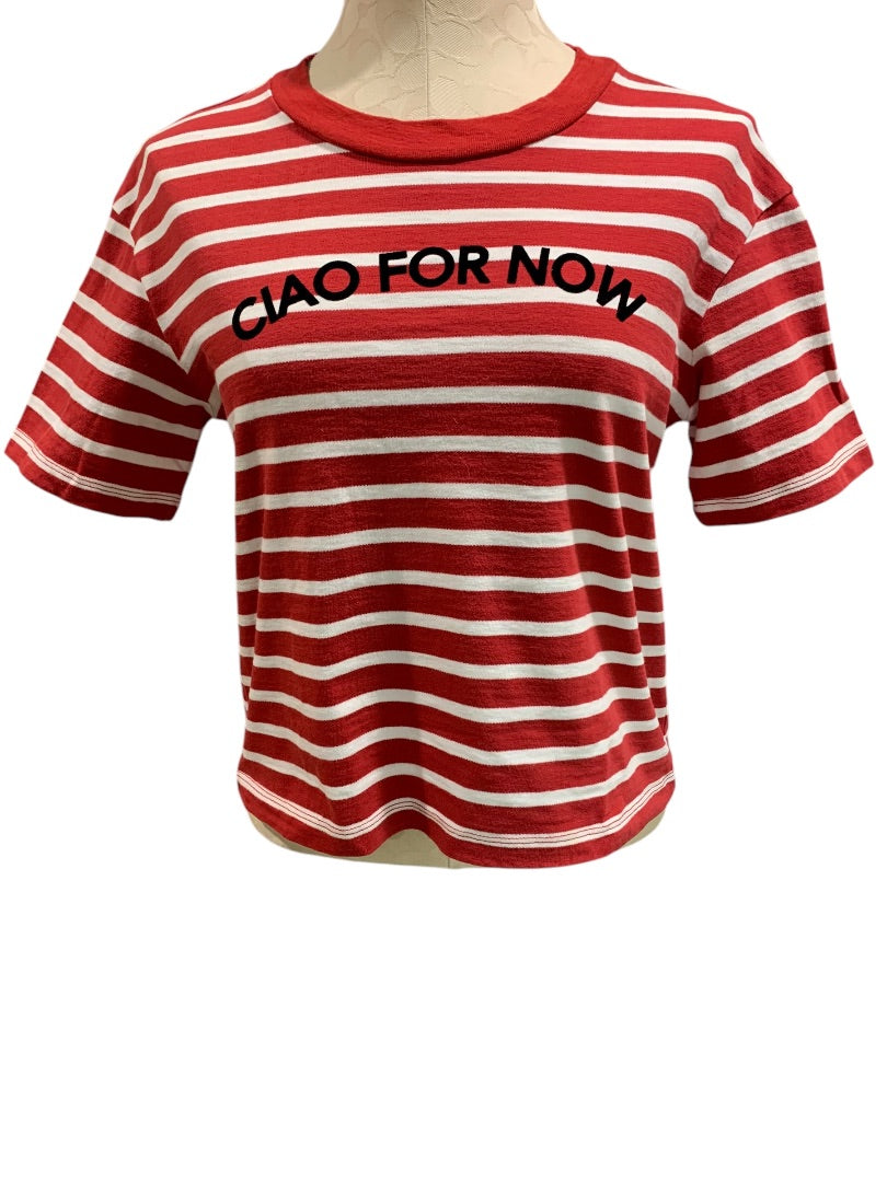 XS Madewell Womens Ciao for Now Striped Tshirt Cropped