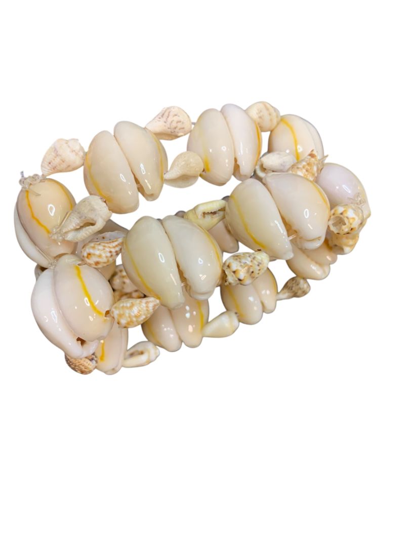 Set of 8 Seashell Napkin Rings Cowrie Shell Beach Home