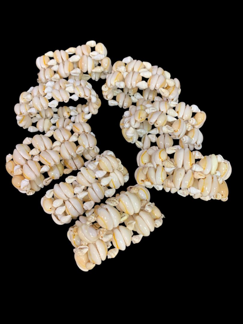 Set of 8 Seashell Napkin Rings Cowrie Shell Beach Home