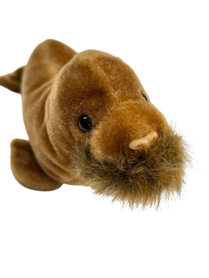 1999 Ty Beanie Baby Paul the Walrus 8" Plush Toy Tags