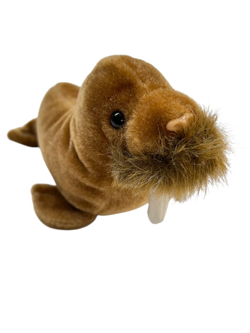 1999 Ty Beanie Baby Paul the Walrus 8" Plush Toy Tags