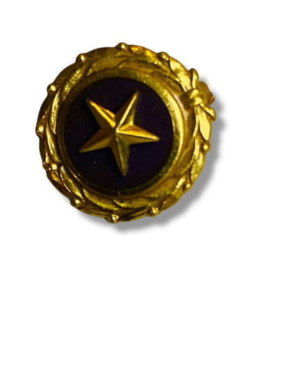 1947 Act of Congress Lapel Pin Service US Military Service .6" Diameter