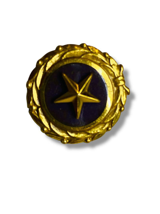 1947 Act of Congress Lapel Pin Service US Military Service .6" Diameter