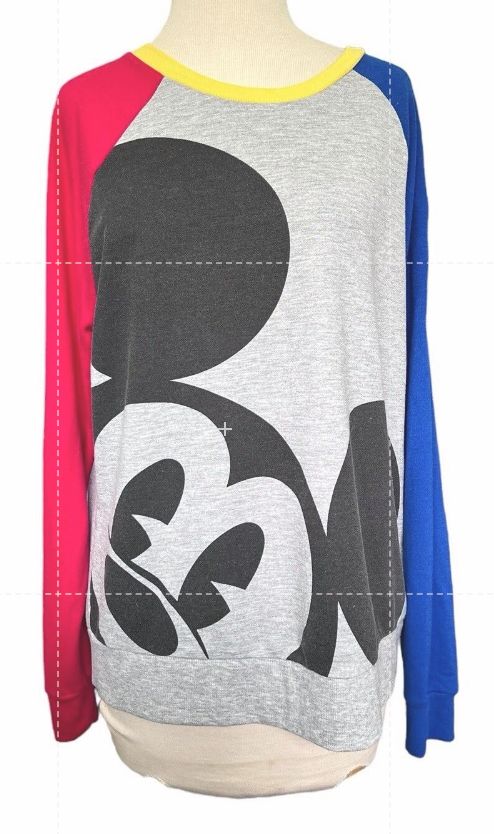 Size L Walt Disney World Mickey Mouse 2021 Pullover Gray Blue & Red Sweatshirt