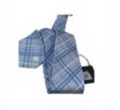 Eagles Wings UNC Tar Heels Neck Tie North Carolina Oxford Blue 100% Silk NWT