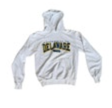 Vintage Champion University Of Delaware Embroidered Hoodie Size Small White