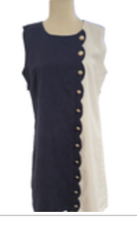 Duffield Lane Blue White Sleeveless Button Down Midi Dress Size M EUC