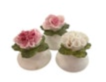 Vintage Aynsley Fine Bone China Floral Salt And Pepper Shakers Pink White